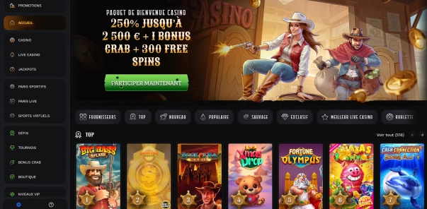 Wildsino machines à sous modernes